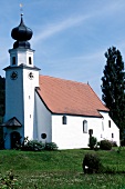 View of white church with onion dome beside a meadow