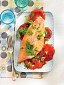 Salmon trout with tomatoes and herbs on plate