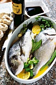 Sea bream fish with herbs and lemon in a baking dish