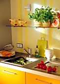 Colourful kitchen with square stainless steel sink, plant pots and vegetables