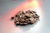 Close-up of coffee beans from Kenya AA Arabica