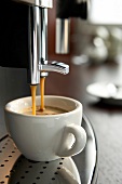 Close-up of freshly brewed coffee from coffee machine