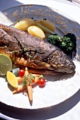 Fisch ganz + Kartoffeln, Möhren, Brokkoli auf Teller in Weiß