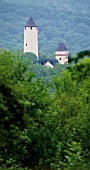 View of Schlosshotel Hirschhorn Castle through the wooded hills of Austria