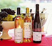 3 Flaschen Wein vor einem Kübel, eine Schale mit Weintrauben