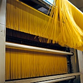 Spaghetti being dried on pulled over tensioned wire thread