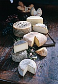 Different types of cheeses from Spain on wooden surface