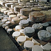 Nudeln aus aller Welt, verschiedene Käselaibe in Frankreich