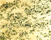 Herbs pattern in wafer-thin pasta dough