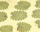 Herbs leaf pattern in wafer-thin pasta dough