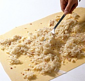 Hand spreading sauerkraut on dough while preparing krautkrapfen, step 2