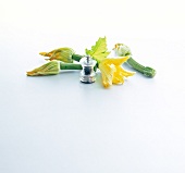 Zucchini flowers and pepper mill on white background