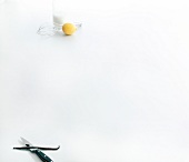 Glass of milk, lemon, whisk, vanilla bean and knife on white background, copy space