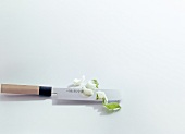 Knife and Chinese cabbage on white background, copy space