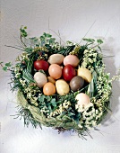 Close-up of multi-coloured Easter eggs in braided nest of grass and flower