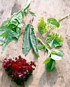verschiedene Blätter von Salat auf einem Holztisch liegend einzeln