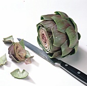 Top of artichoke being cut with knife