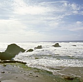 Fisch, Felsen an der Küste, Meerblick