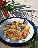 Close-up of penne with squid on plate