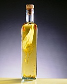 Close-up of bottle with herb oil