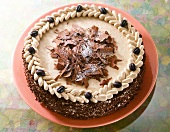 Cake decorated with mocha butter cream, chocolate and mocha beans