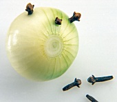 Close-up onion with cloves on white background