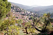 Dörfer an den bewaldeten Hängen in der Berglandschaft von Pilion