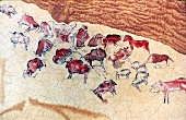 Close-up of Stone Age drawings on the walls of caves of Altamira in Spain