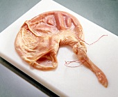 Opened pig stomach tied with kitchen string on white board