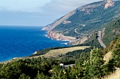 View of the coast, mountains, road and trees in Nova Scotia, Canada