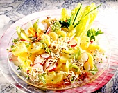 Potato sprouts salad with spicy marinade on plate
