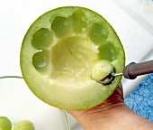 Scooping melon with melon baller