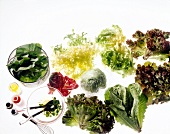 Various leafy greens vegetables with oil and whisk