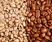 Ungeröstete und geröstete Arabica- Kaffeebohnen