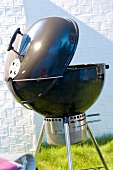 Round grill with lid
