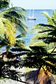 Blick auf Meer mit Schiff durch Palmen, Karibik