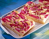 Close-up of slices of rhubarb pie with cottage cheese on tray