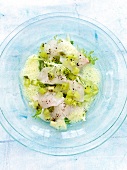 Sashimi vom Loup de Mer mit Currysauce, Salat und Kiwis