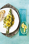 Sea bass with orange slices on plate