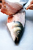 Cutting fish over bones for fish fillet
