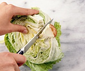 Cutting lettuce for iceberg salad