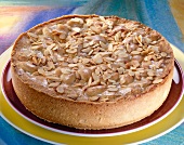 Close-up of apple pie on plate