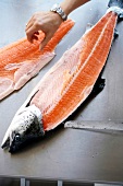 Salmon being filleted
