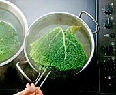 Cabbage leaves being put into boiling water