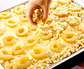 Streusel teig being sprinkled on apricots in baking tray