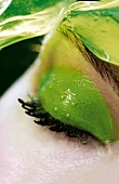 Extreme close-up of woman wearing green eye shadow and mascara with water droplets
