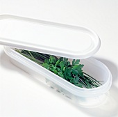 Fresh herbs in plastic box on white background