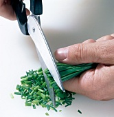 Herbs being cut into small pieces with scissors