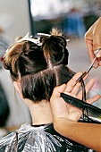 Hinterkopf einer Frau: Halblange Haare werden geschnitten