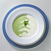 Two tone parsley veloute with herb in bowl